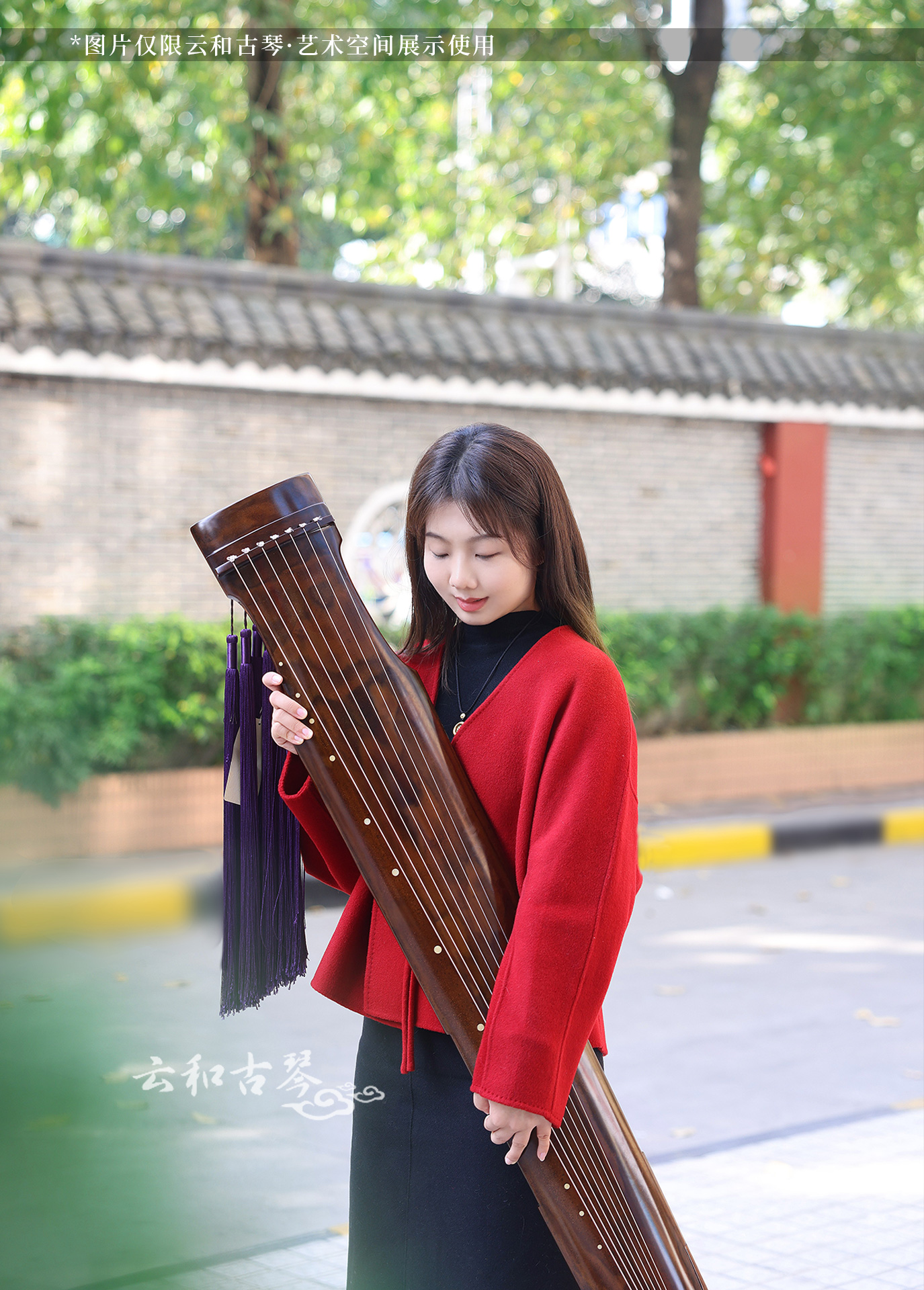 琴人风采