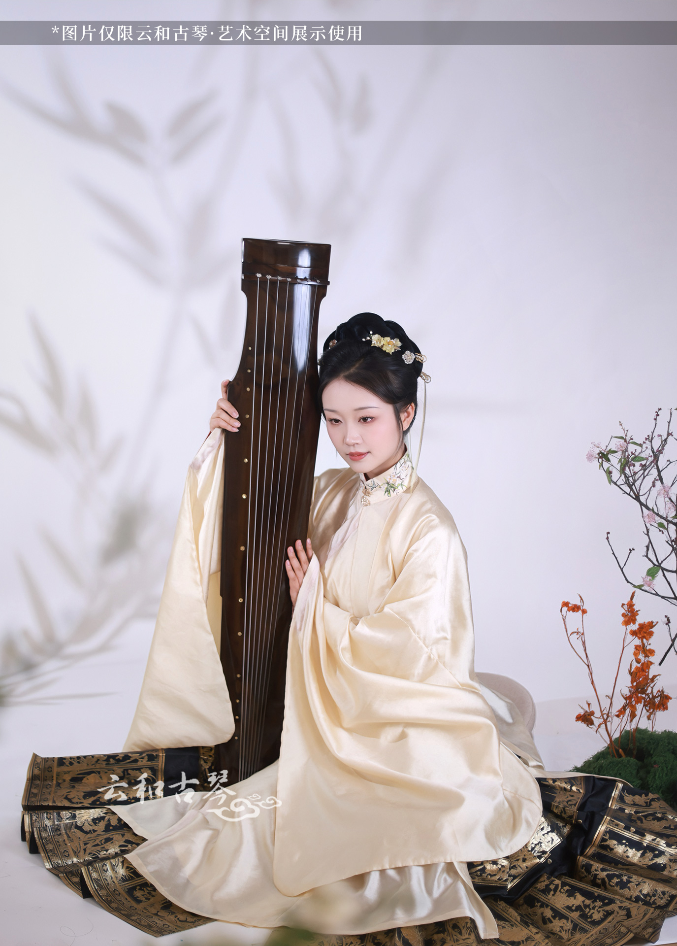 琴人风采